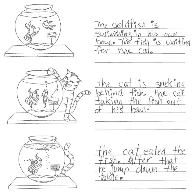 essay for grade 2 students essay for grade 2 students