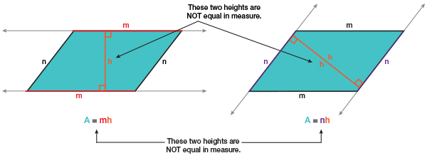 Bases of a Parallelogram