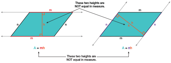 Bases of a Parallelogram Bases of a Parallelogram