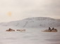 Collection d'images du Nunavut