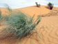 Tunisia Image 65