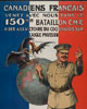 Poster 13