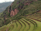 peru Image 48