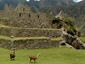 peru Image 51