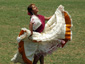 peru Image 52