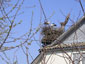 ukraine Image 65