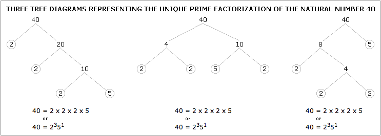 Tree diagrams representing the prime factorization of 40