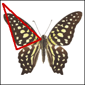 http://www.clipart.com_Filename:22989127.jpg