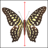 http://www.clipart.com_Filename:22989127.jpg