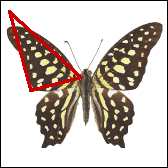 http://www.clipart.com_Filename:22989127.jpg