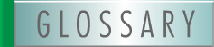 Glossary
