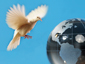 Globalization and Quality of Life Image 19