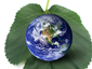 Globalization and Quality of Life Image 68