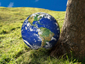 Globalization and Quality of Life Image 71