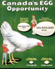 Poster 25