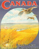 Poster 3