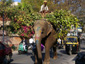 India Image 5