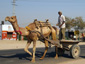 India Image 18